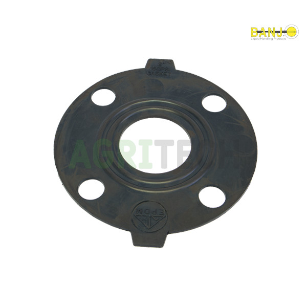 BN309335-BANJO - Покладка под пластиковый фланец 2