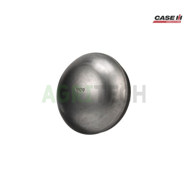 86900188 - Колпак ступицы, CASE IH