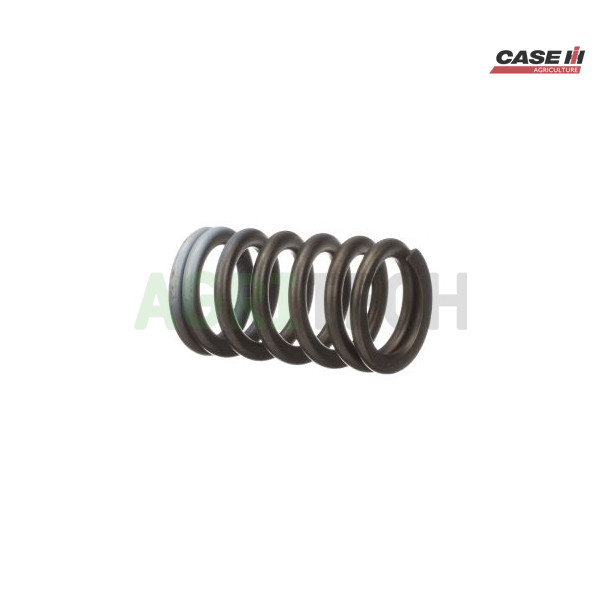 87666321 - Пружина клапана впускного, CASE IH