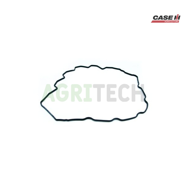 504070038 - Прокладка, CASE IH