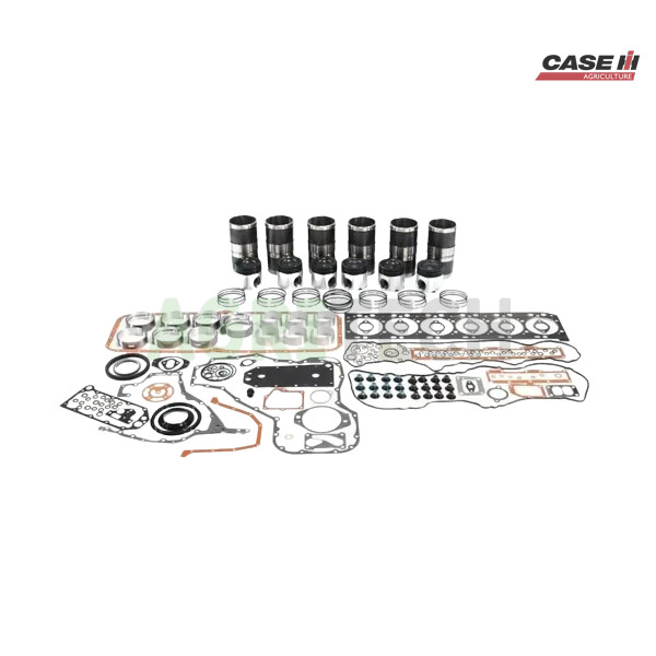 73327179 - Ремкомплект двигателя, CASE IH