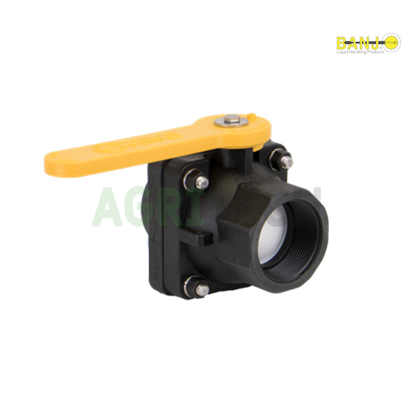 VS204FP - Клапан 2-дюймовый повнопортовий мама, BANJO