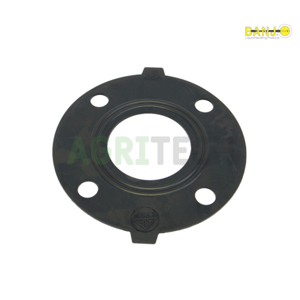 AF300G - Прокладка під пластиковий флянець 3