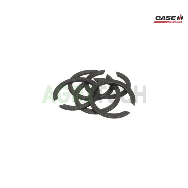 A21619 - Кольцо стопорное, CASE IH