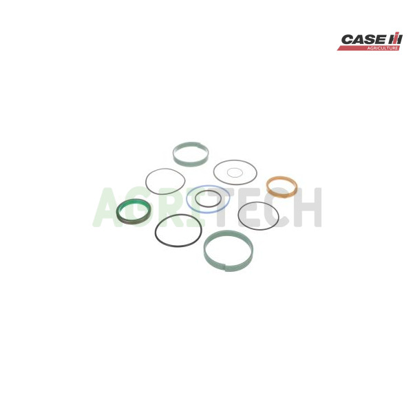 387654A1 - Ремкомплект гідроциліндра, CASE IH