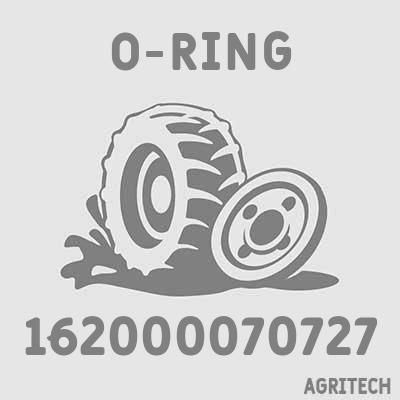 162000070727 - Кольцо, CASE IH