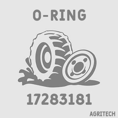 17283181 - Кольцо, CASE IH