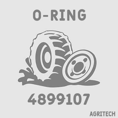 4899107 - Кольцо, CASE IH