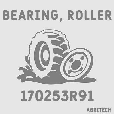 170253R91 - Обойма подшипника внутренняя, CASE IH