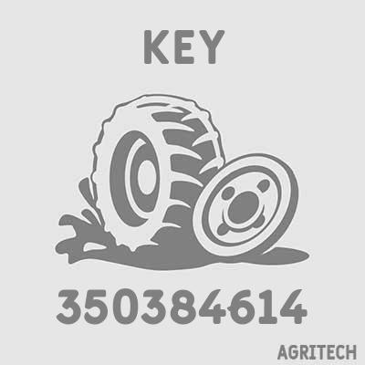 350384614 - Шпонка, CASE IH