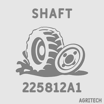 225812A1 - Вал, CASE IH