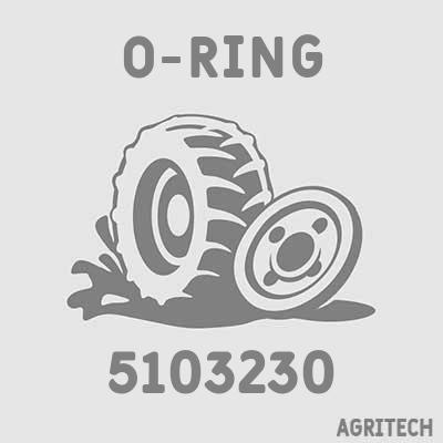 5103230 - Кольцо, CASE IH
