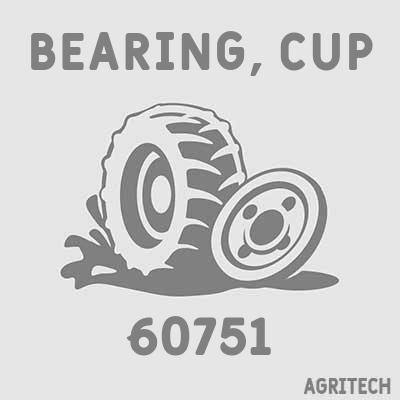 60751 - Обойма підшипника зовнішня, CASE IH