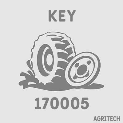 170005 - Шпонка, CASE IH