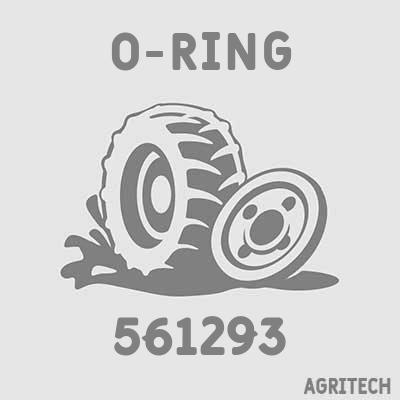 561293 - Кільце, CASE IH