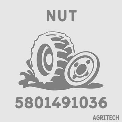 5801491036 - Гайка шпильки ТРК, CASE IH