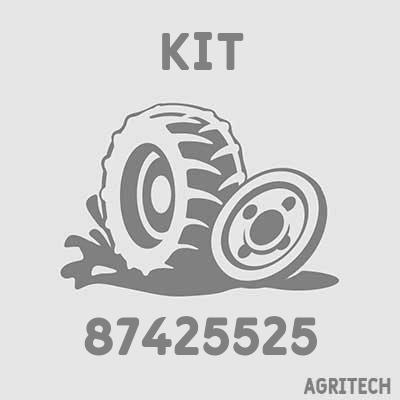 87425525 - Комплект вкладишів шатунних, CASE IH