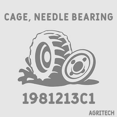 1981213C1 - Корпус підшипника, CASE IH