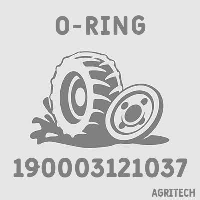 190003121037 - Кольцо, CASE IH