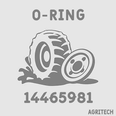 14465981 - Кільце, CASE IH