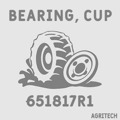 651817R1 - Обойма підшипника зовнішня, CASE IH