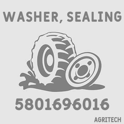 5801696016 - Шайба, CASE IH