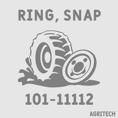 101-11112 - Кольцо стопорное, CASE IH