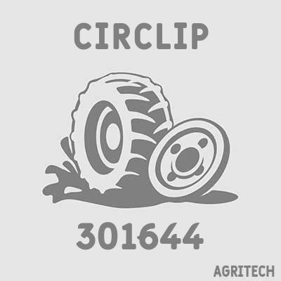 301644 - Кільце стопорне, CASE IH