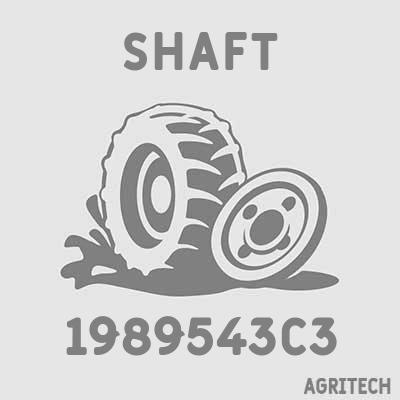 1989543C3 - Вал вентилятора очистки, CASE IH