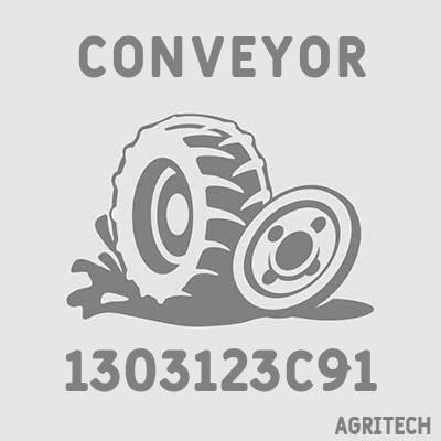 1303123C91 - Скребок элеватора колосового, CASE IH