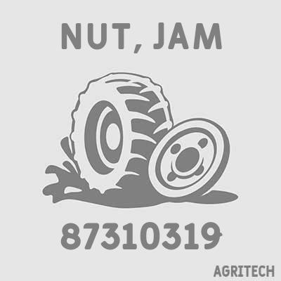 87310319 - Гайка, CASE IH