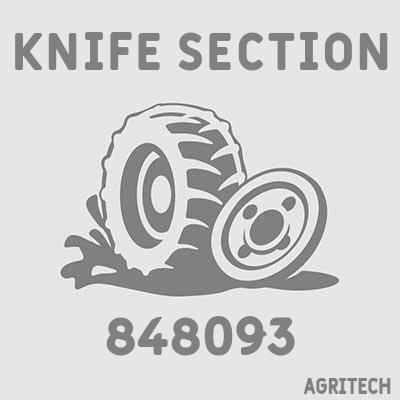 848093 - Сегмент двойной, CASE IH