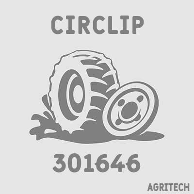 301646 - Кільце стопорне, CASE IH