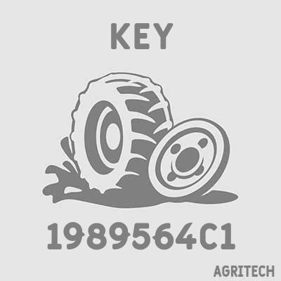 1989564C1 - Шпонка, CASE IH