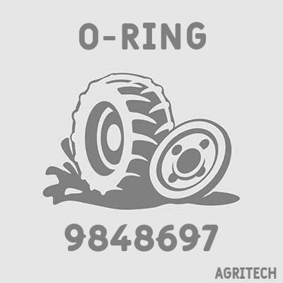 9848697 - Кольцо, CASE IH
