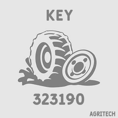 323190 - Шпонка, NEW HOLLAND