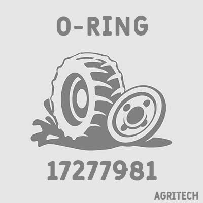 17277981 - Кольцо, CASE IH