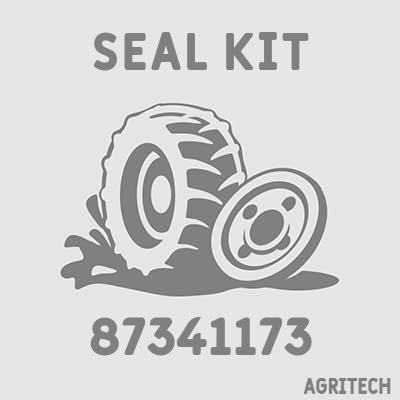 87341173 - Ремкомплект насоса-дозатора, CASE IH