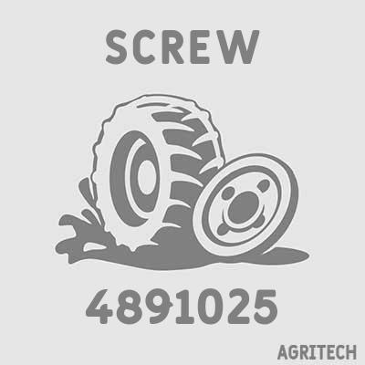 4891025 - Болт головки блока, CASE IH