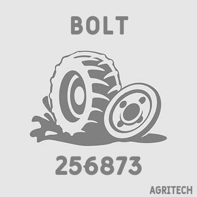 256873 - Болт, CASE IH