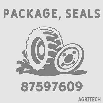 87597609 - Ремкомплект гідроциліндра, CASE IH