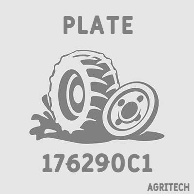 176290C1 - Пластина, CASE IH