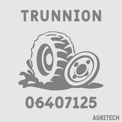 06407125 - Вісь, CASE IH