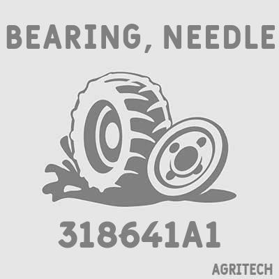 318641A1 - Підшипник голчастий, CASE IH