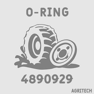 4890929 - Кільце, CASE IH