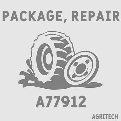 A77912 - Комплект поршневий, CASE IH