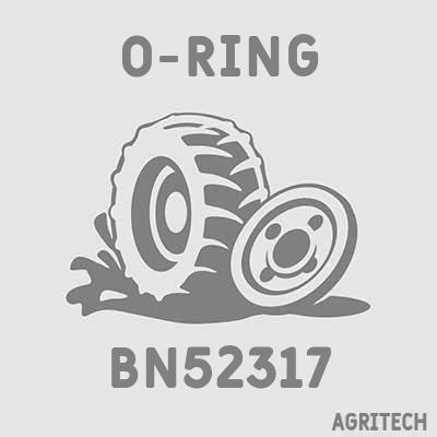 BN52317 - Кольцо, CASE IH