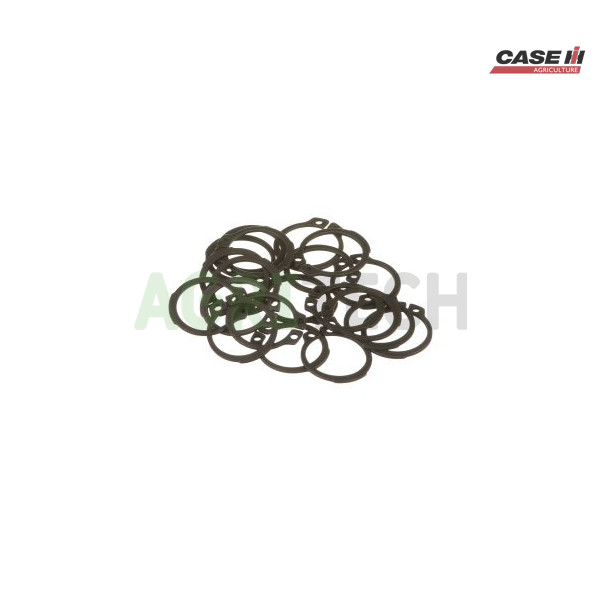 16866076 - Кольцо стопорное, CASE IH