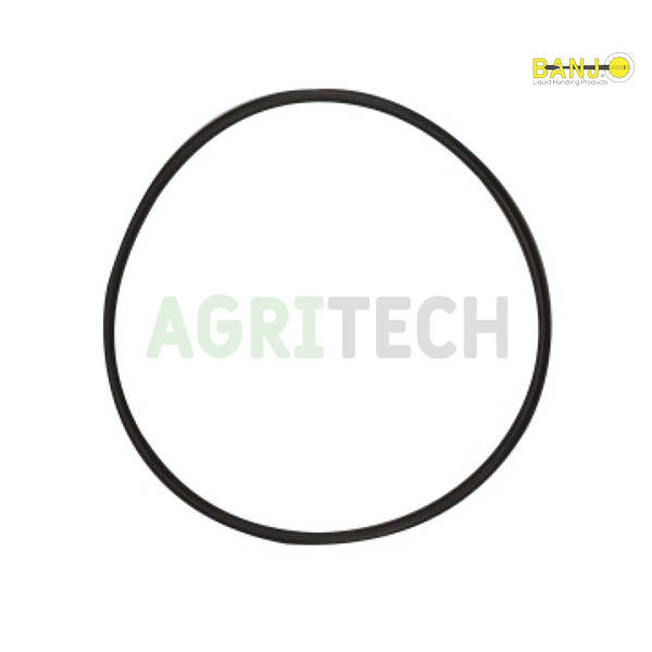 MLS300G - Кільце під фільтр , BANJO