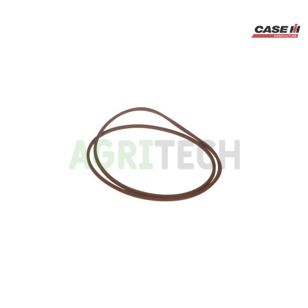 87699824 - Уплотнения, CASE IH